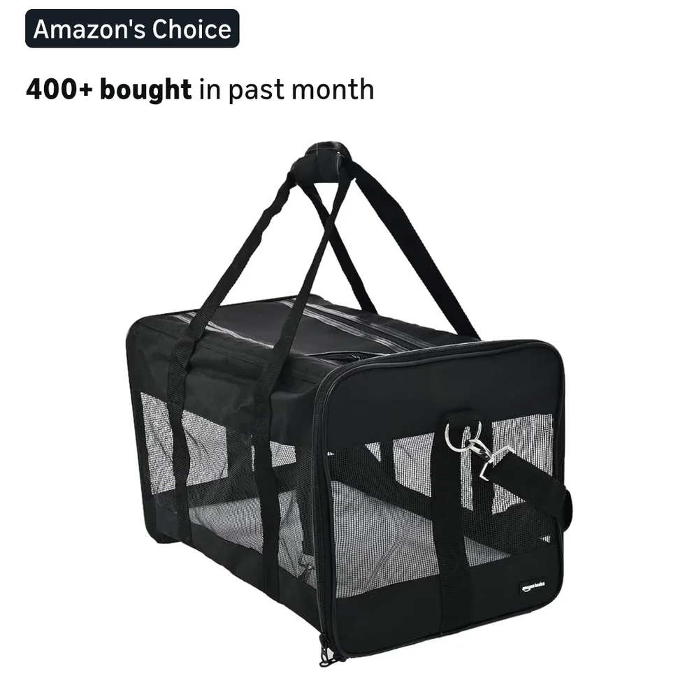 Black Mesh Pet Carrier